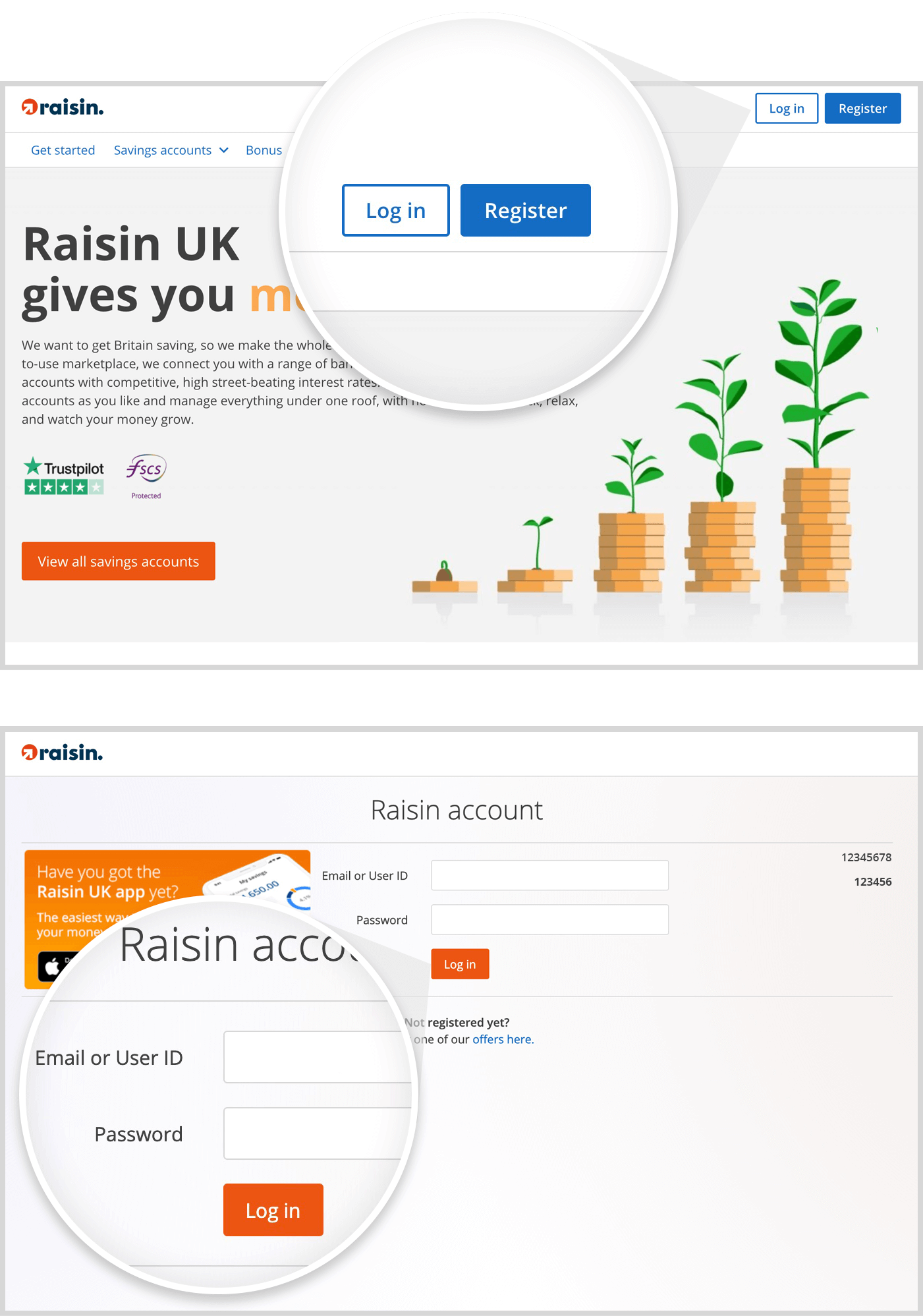 Log in to your Raisin UK Account